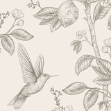 Hummingbirds and Flower Chinoiserie Peel and Stick Wallpaper - CH002