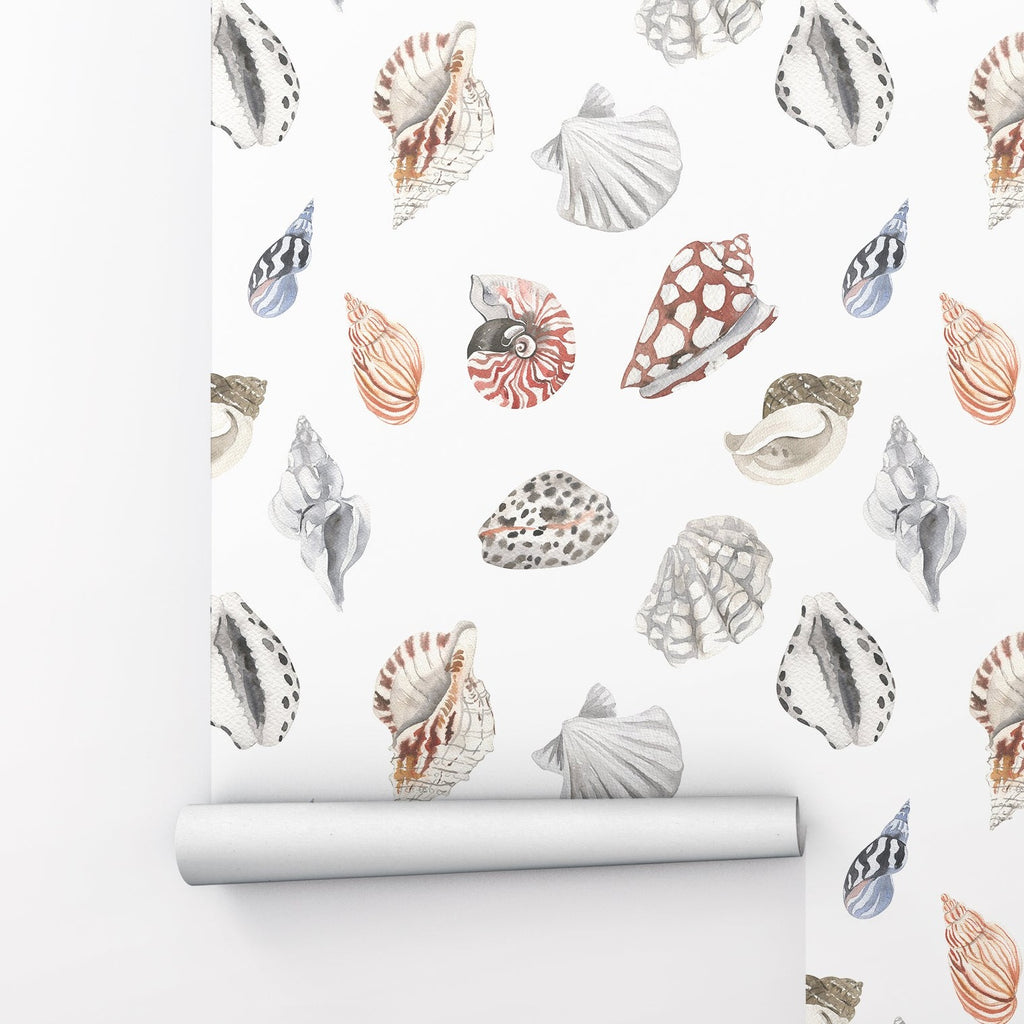 Seashell Animal Peel and Stick Wallpaper